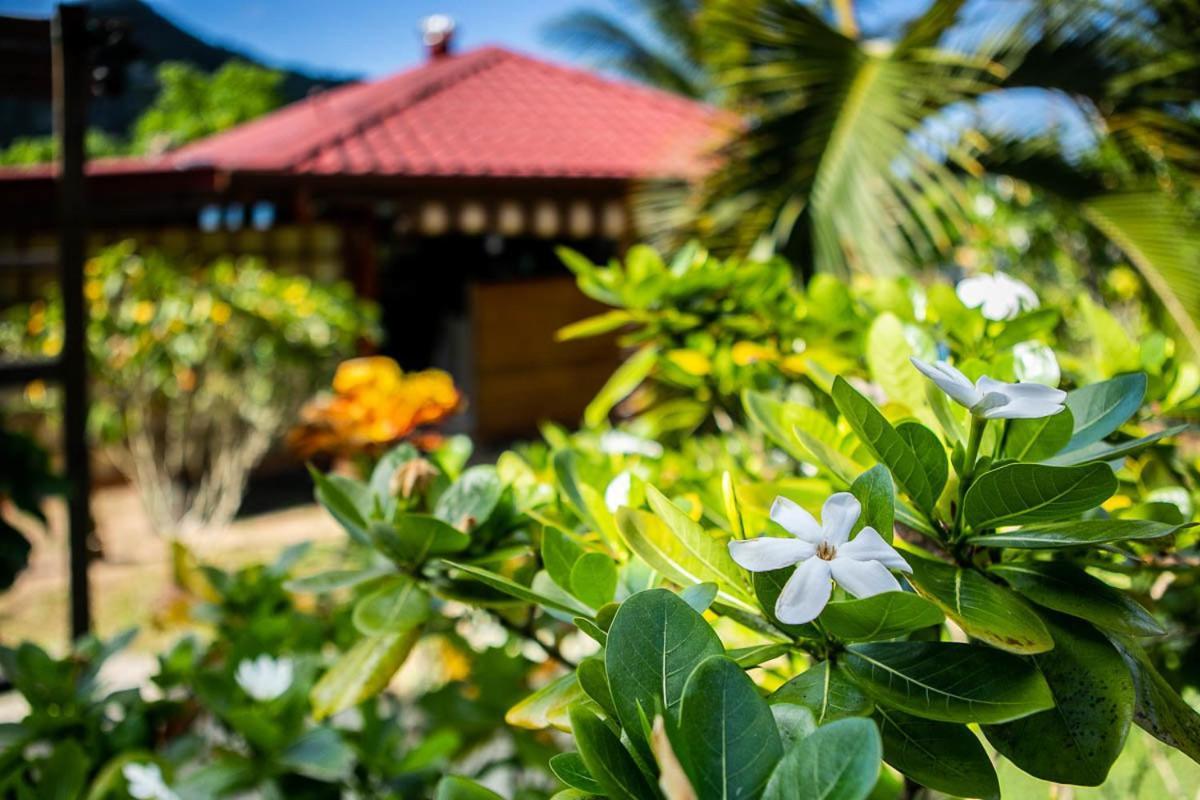 Raiatea Sur Mer Opoa Εξωτερικό φωτογραφία