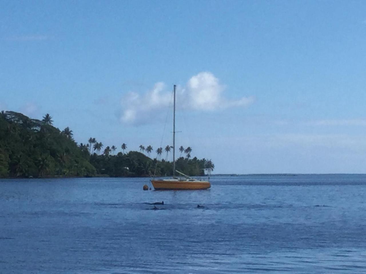Raiatea Sur Mer Opoa Εξωτερικό φωτογραφία
